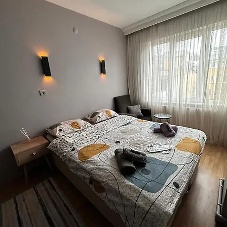 Kadikoyde Denize Yakin Kullanisli Ve Merkezi Daire * 伊斯坦布尔