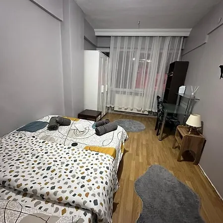 Kadikoyde Denize Yakin Kullanisli Ve Merkezi Daire * 伊斯坦布尔