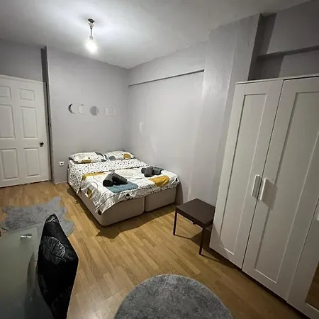 Kadikoyde Denize Yakin Kullanisli Ve Merkezi Daire 伊斯坦布尔