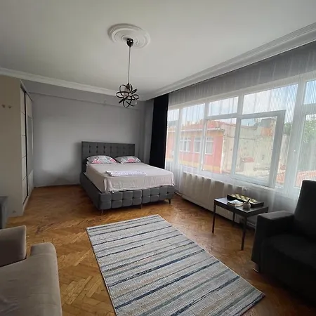Kadikoyde Denize Yakin Kullanisli Ve Merkezi Daire 伊斯坦布尔